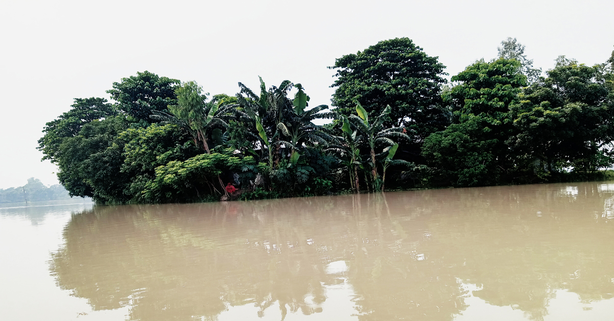 বন্যার কবলে জামালপুর মেলান্দহের মানুষ, জনজীবনে দুর্ভোগ